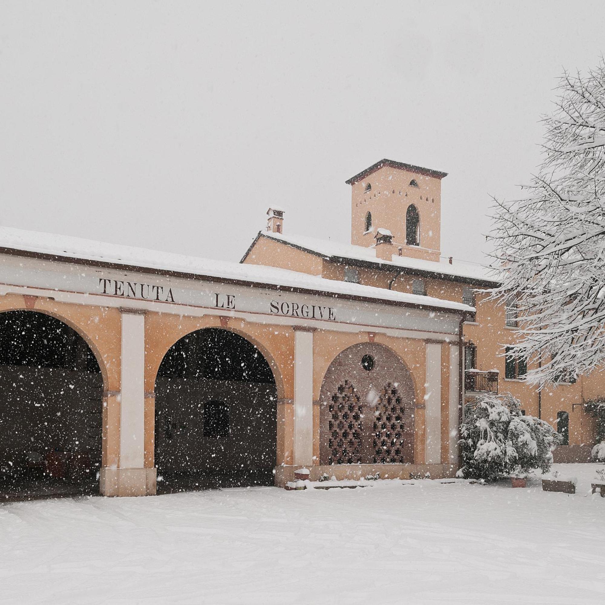 Tenuta Le Sorgive Agriturismo Солферино Екстериор снимка