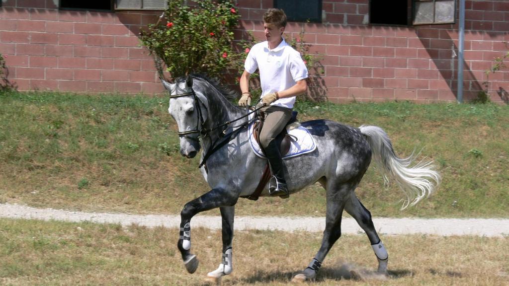 Tenuta Le Sorgive Agriturismo Солферино Екстериор снимка