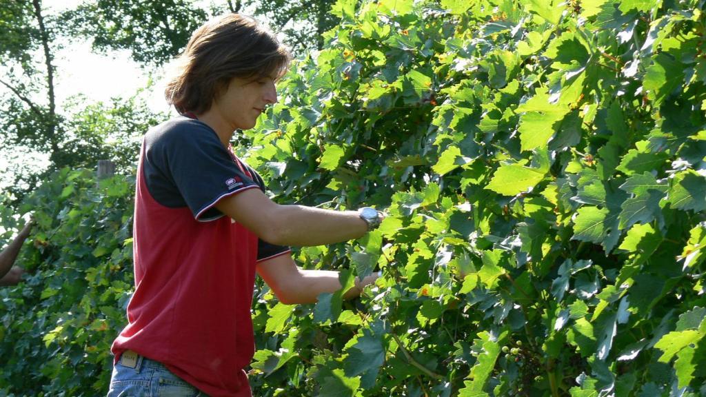 Tenuta Le Sorgive Agriturismo Солферино Екстериор снимка
